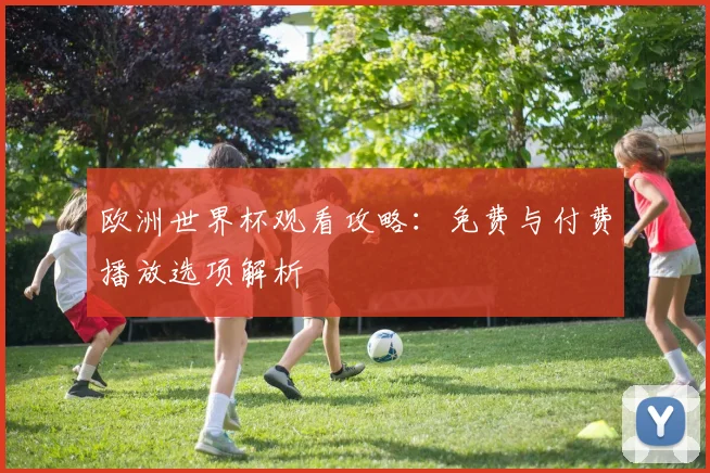 欧洲世界杯观看攻略：免费与付费播放选项解析